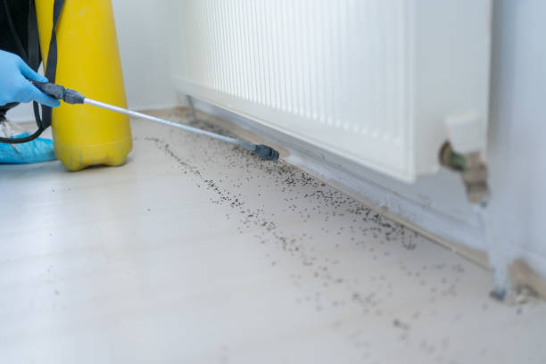 Best Pest Prevention Services  in Zapata, TX